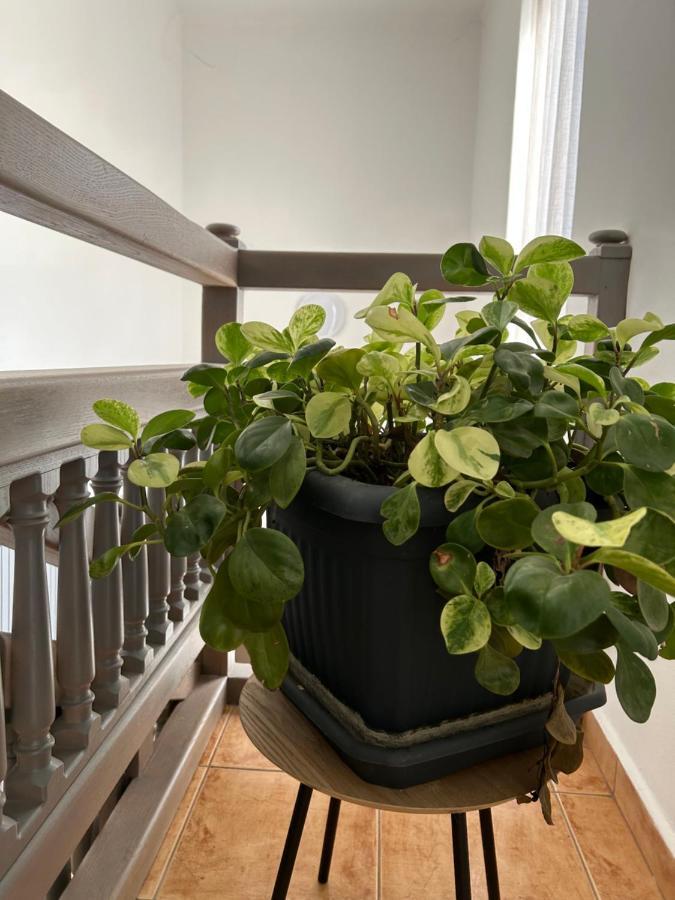 Eros Apartman Hajduszoboszlo Luaran gambar